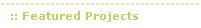 Featured Projects