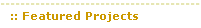 Featured Projects