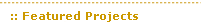 Featured Projects